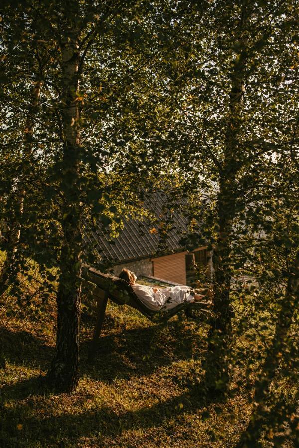 Eco Chalet AstraMONTANA Tolmin Esterno foto